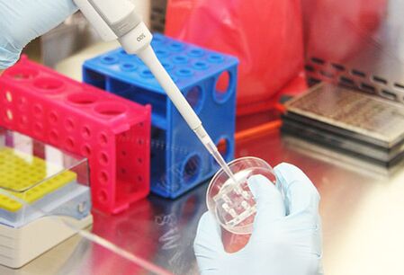 Pacienta izmeklējumu pārbaude pirms augmentācijas mammoplastikas veikšanas